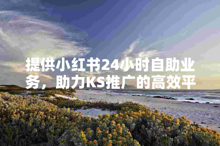 提供小红书24小时自助业务，助力KS推广的高效平台。
