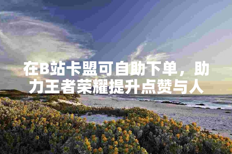 在B站卡盟可自助下单，助力王者荣耀提升点赞与人气。