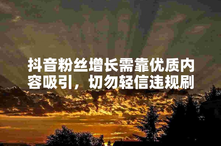 抖音粉丝增长需靠优质内容吸引，切勿轻信违规刷粉软件。