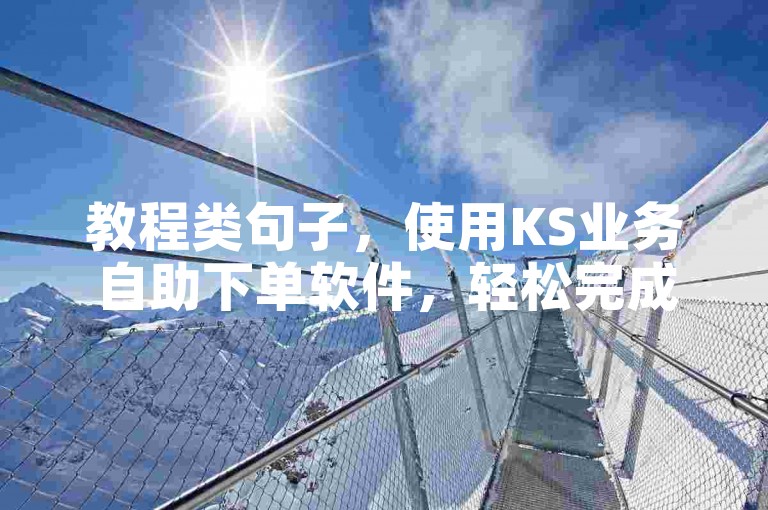教程类句子，使用KS业务自助下单软件，轻松完成微信支付。