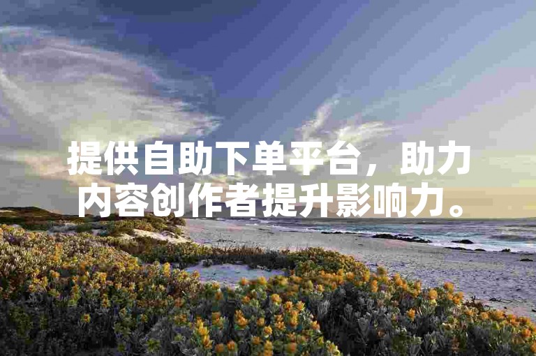 提供自助下单平台，助力内容创作者提升影响力。