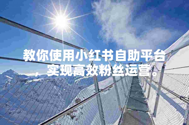 教你使用小红书自助平台，实现高效粉丝运营。