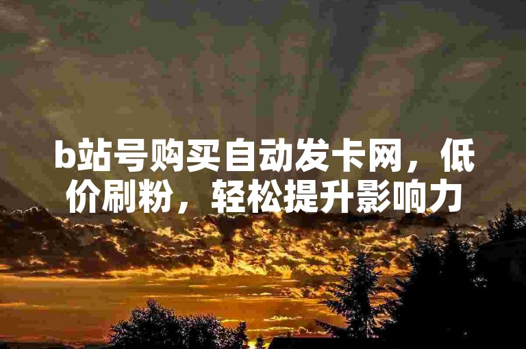 b站号购买自动发卡网，低价刷粉，轻松提升影响力。