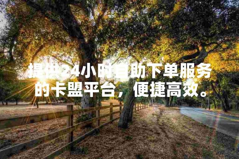 提供24小时自助下单服务的卡盟平台，便捷高效。