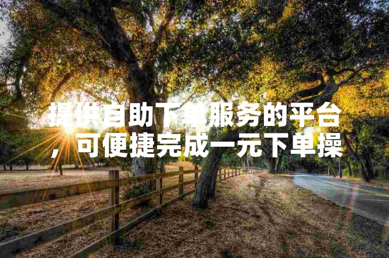 提供自助下单服务的平台，可便捷完成一元下单操作。