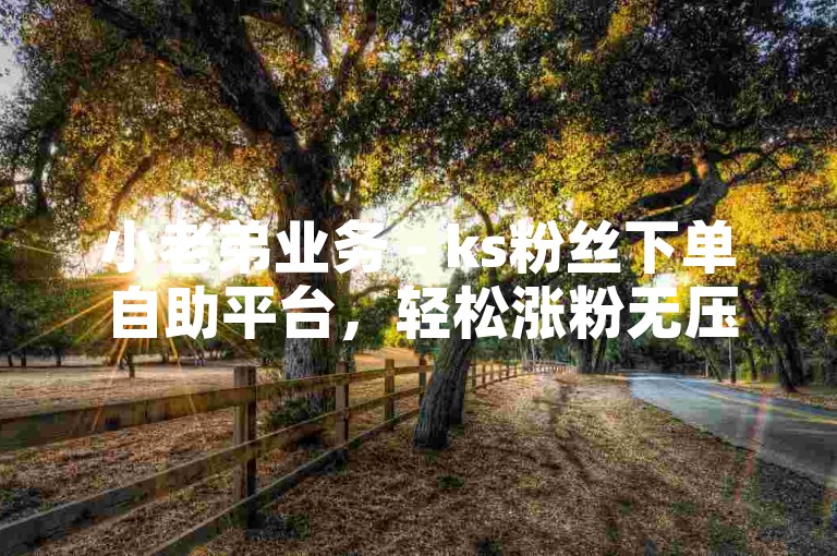 小老弟业务 - ks粉丝下单自助平台，轻松涨粉无压力。