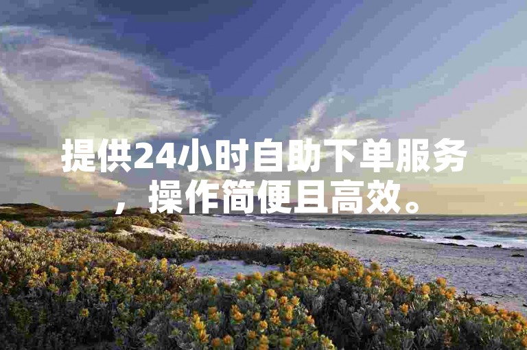 提供24小时自助下单服务，操作简便且高效。