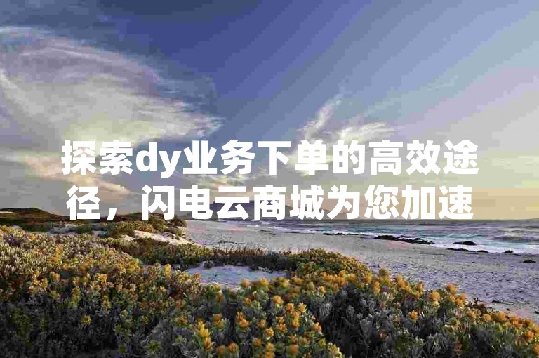 探索dy业务下单的高效途径，闪电云商城为您加速。