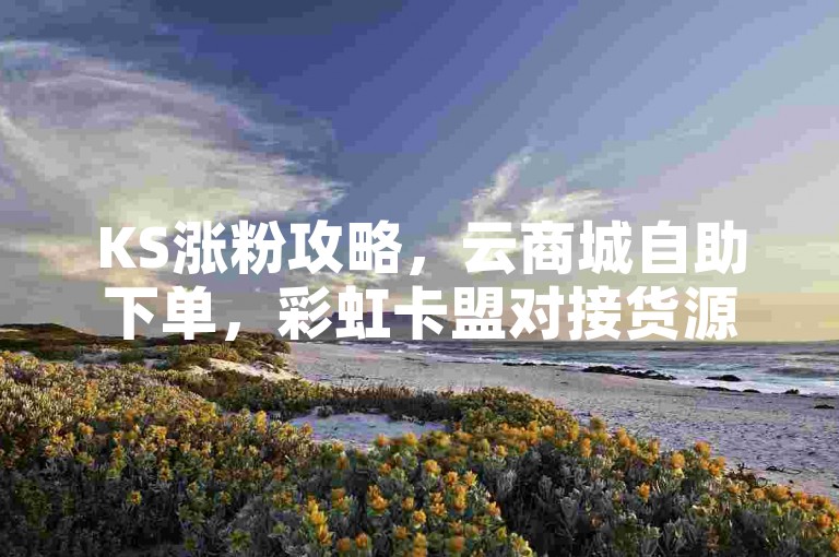 KS涨粉攻略，云商城自助下单，彩虹卡盟对接货源，快手活粉一元1000个。