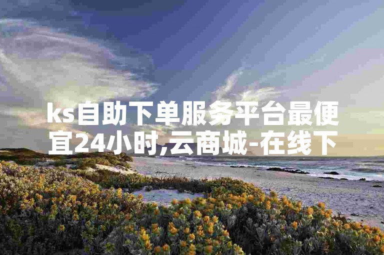 ks自助下单服务平台最便宜24小时,云商城-在线下单