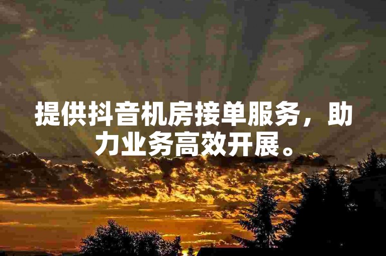 提供抖音机房接单服务，助力业务高效开展。