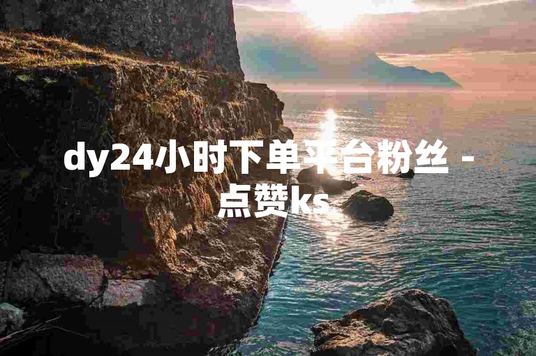 dy24小时下单平台粉丝 - 点赞ks