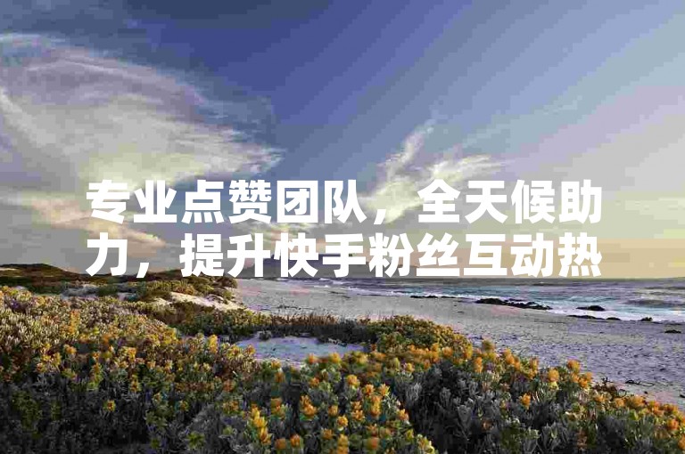 专业点赞团队，全天候助力，提升快手粉丝互动热度。