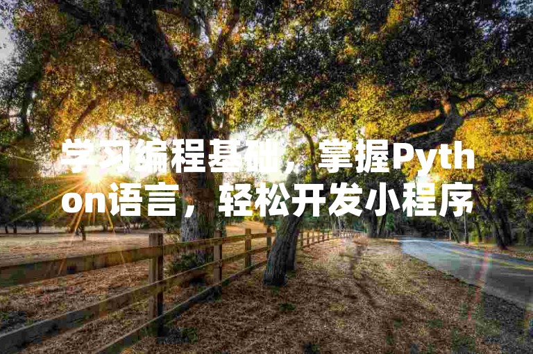 学习编程基础，掌握Python语言，轻松开发小程序。