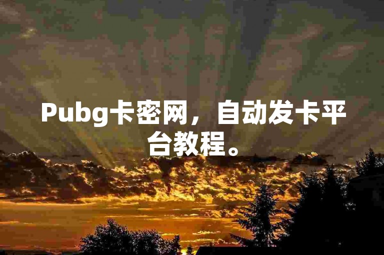 Pubg卡密网，自动发卡平台教程。