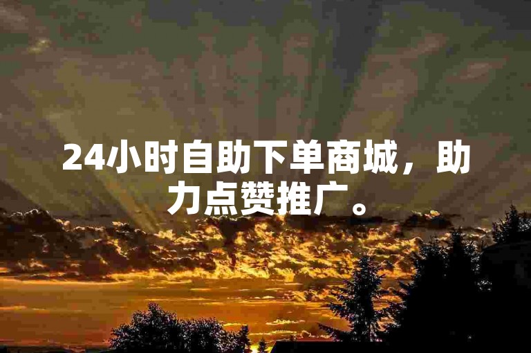 24小时自助下单商城，助力点赞推广。