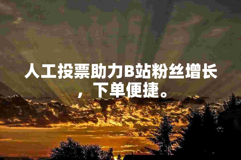 人工投票助力B站粉丝增长，下单便捷。