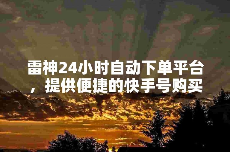 雷神24小时自动下单平台，提供便捷的快手号购买服务。
