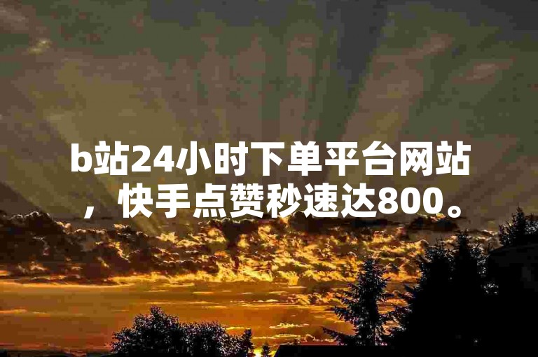 b站24小时下单平台网站，快手点赞秒速达800。