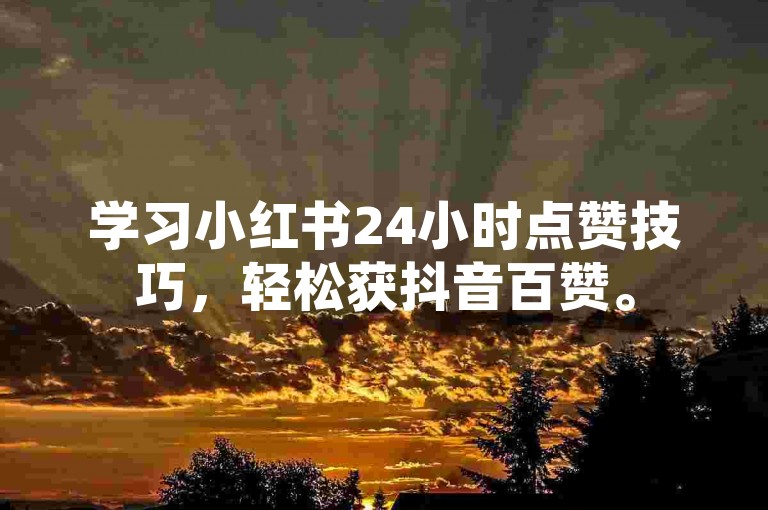 学习小红书24小时点赞技巧，轻松获抖音百赞。