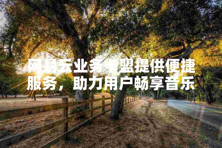 网易云业务卡盟提供便捷服务，助力用户畅享音乐。