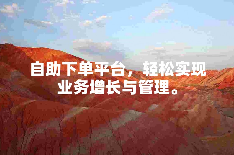 自助下单平台，轻松实现业务增长与管理。