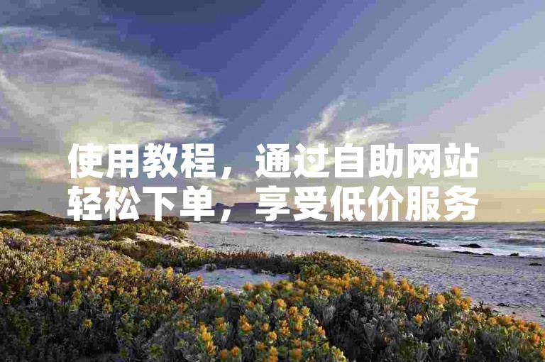使用教程，通过自助网站轻松下单，享受低价服务。