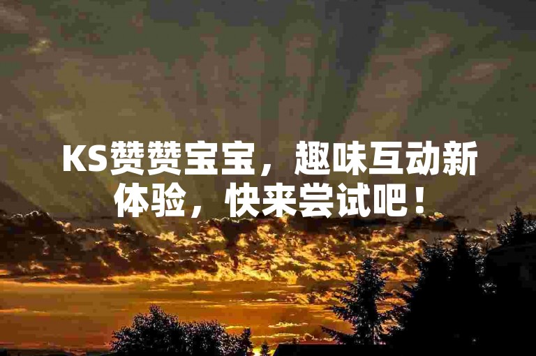 KS赞赞宝宝，趣味互动新体验，快来尝试吧！