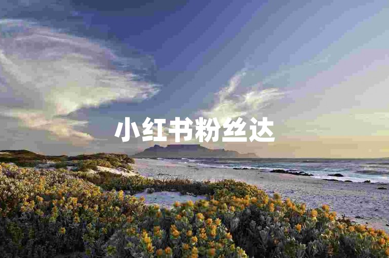 小红书粉丝达 500 可申请品牌合作，QQ 浏览量通常算自己访问。