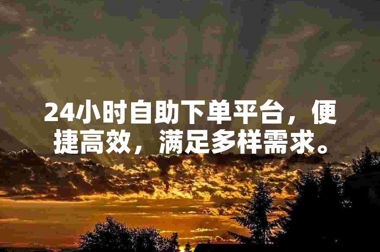 24小时自助下单平台，便捷高效，满足多样需求。