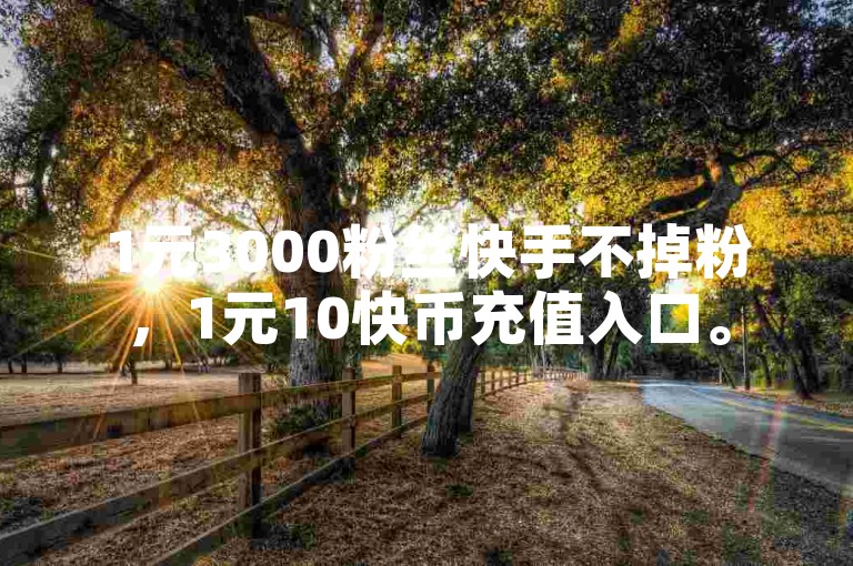1元3000粉丝快手不掉粉，1元10快币充值入口。