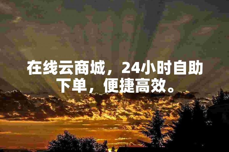 在线云商城，24小时自助下单，便捷高效。