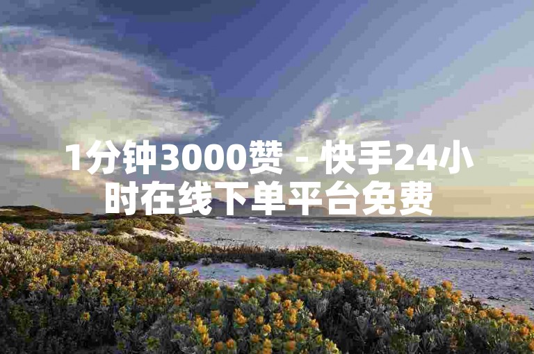 1分钟3000赞 - 快手24小时在线下单平台免费