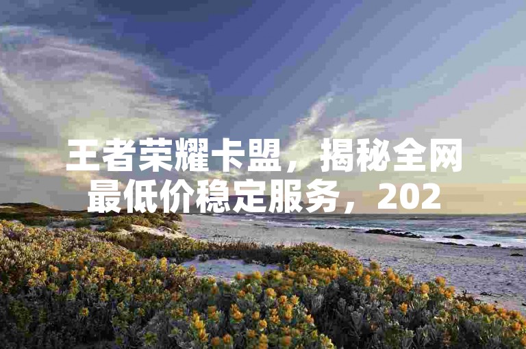 王者荣耀卡盟，揭秘全网最低价稳定服务，2025必学技巧！