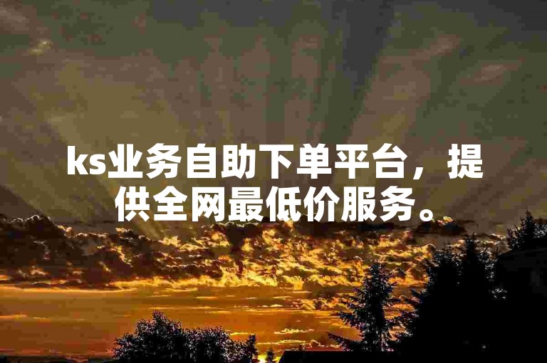 ks业务自助下单平台，提供全网最低价服务。