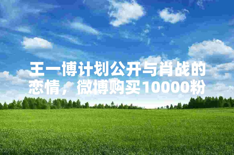 王一博计划公开与肖战的恋情，微博购买10000粉丝的费用是多少？