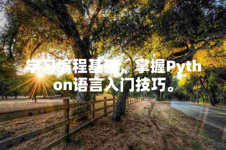 学习编程基础，掌握Python语言入门技巧。