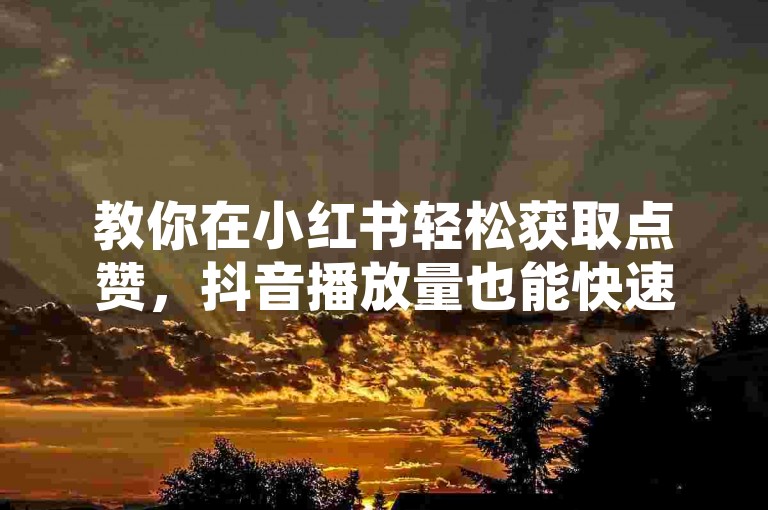 教你在小红书轻松获取点赞，抖音播放量也能快速提升哦。