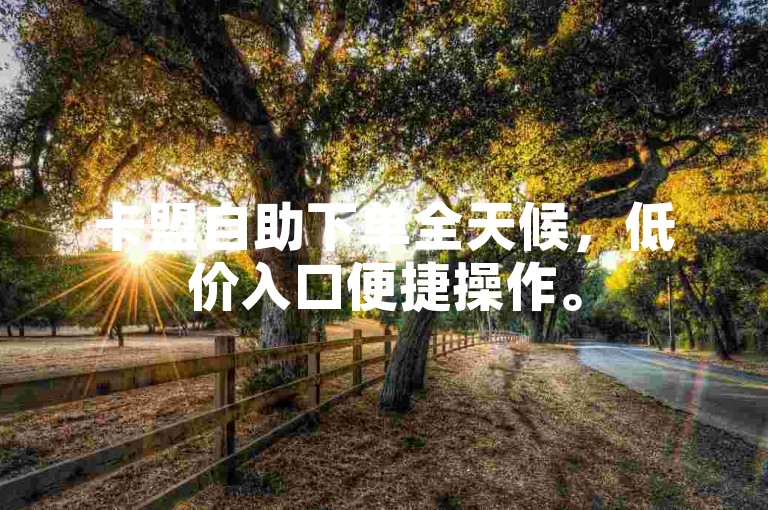 卡盟自助下单全天候，低价入口便捷操作。