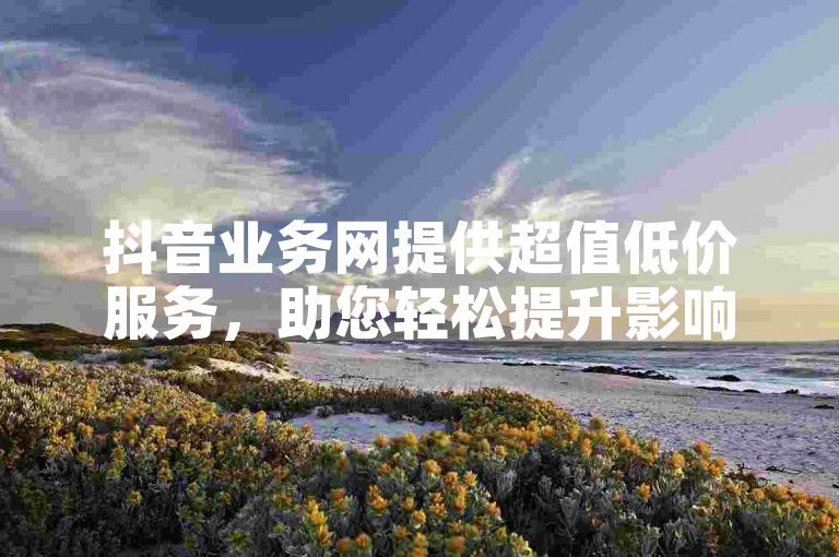 抖音业务网提供超值低价服务，助您轻松提升影响力。