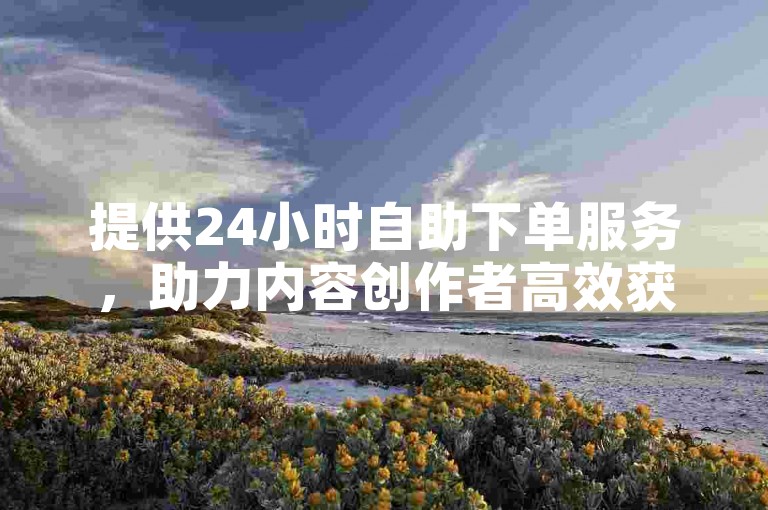 提供24小时自助下单服务，助力内容创作者高效获取粉丝。
