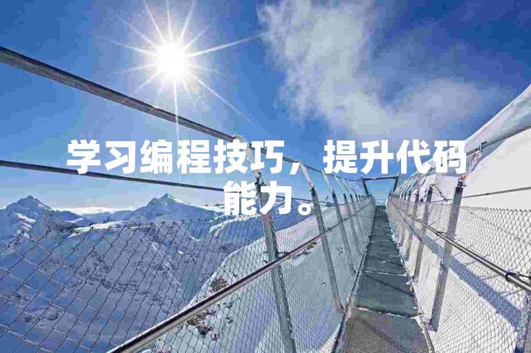 学习编程技巧，提升代码能力。