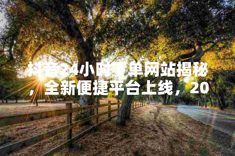 抖音24小时下单网站揭秘，全新便捷平台上线，2024必备技能。