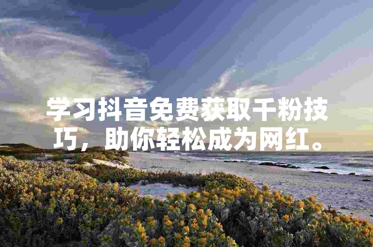 学习抖音免费获取千粉技巧，助你轻松成为网红。