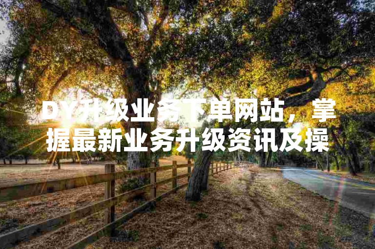 DY升级业务下单网站，掌握最新业务升级资讯及操作步骤。