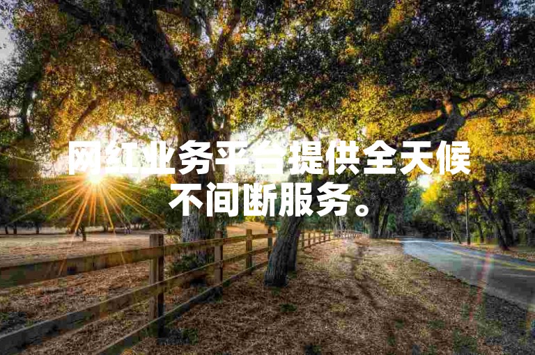 网红业务平台提供全天候不间断服务。