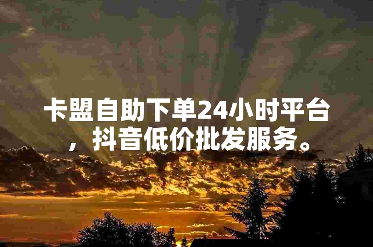 卡盟自助下单24小时平台，抖音低价批发服务。