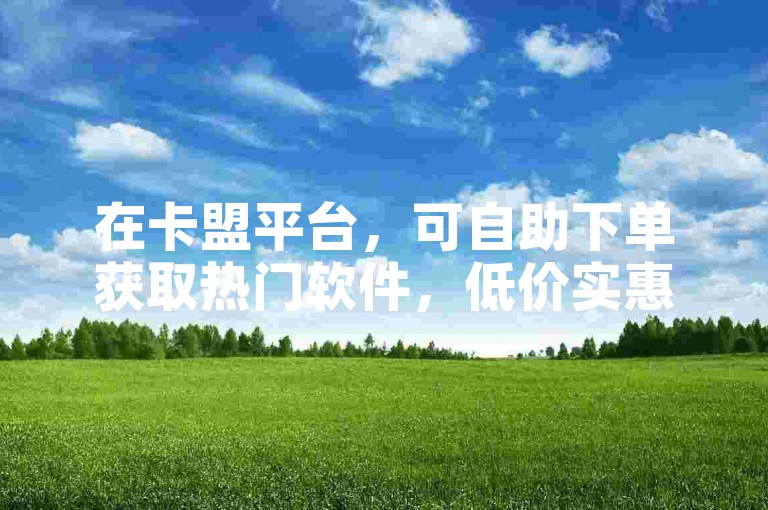 在卡盟平台，可自助下单获取热门软件，低价实惠。
