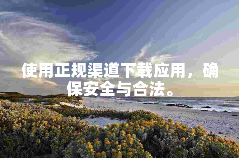 使用正规渠道下载应用，确保安全与合法。