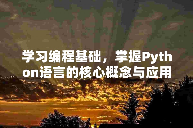 学习编程基础，掌握Python语言的核心概念与应用技巧。